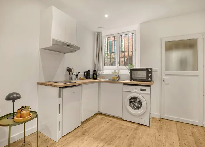 Typique Toulousain - Hyper-centre Appartement